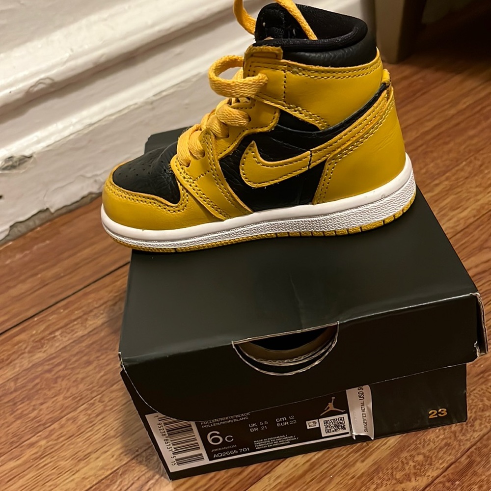 Jordan 1 Retro High OG (TD)